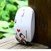 Sungwoo Wireless Mouse 2.4GHz Silent Mouse with Cute Little Bird Design and Nano Receiver for PC Laptop Desktop - White Bird