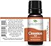 Plant Therapy Cinnamon Leaf Essential Oil 10 mL (1/3 oz) 100% Pure, Undiluted, Therapeutic Grade