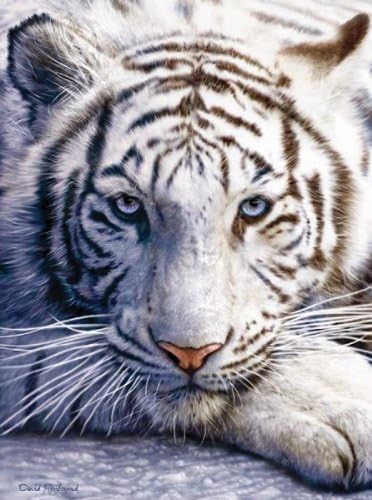 MINI - White Tiger Face
