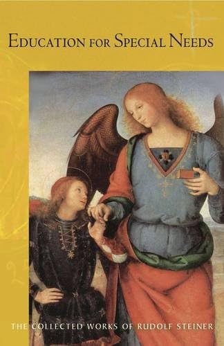 Education for Special Needs: The Curative Education Course (The Collected Works of Rudolf Steiner Book 317)