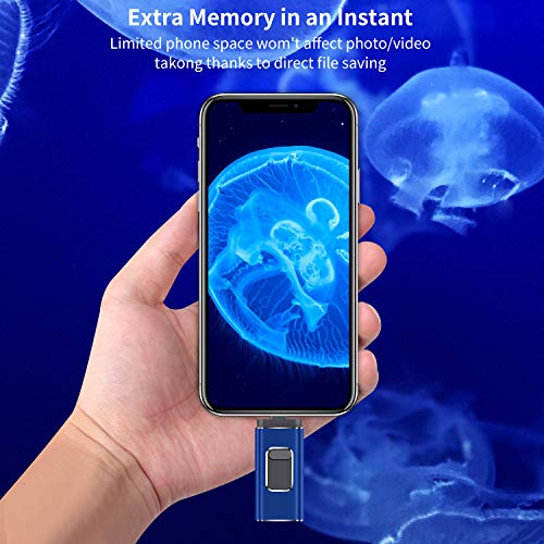 USB Flash Drive for iPhone 256gb Memory Stick LTY Photo Stick USB 3.0 Jump Drive Thumb Drives Externa Lightning Memory Stick for iPhone iPad Android and Computers (blue-256GB)