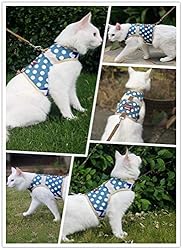 Yizhi Miaow Cat Harness and Leash for Walking