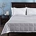puredown® Blankets Queen Size - Soft Lightweight Down Blanket for All Seasons, Cozy Warm Luxury Bed Blanket with Satin Trim, Cotton Cover, Light Grey (90