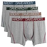 David Archy Men's Underwear Colorful Waistband Soft Boxer Briefs - 4 Pack (L, Heather Gray)