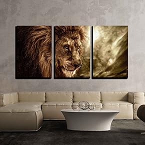 Lion Against Stormy Sky x3 Panels