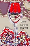 Wine Tasting Journal: Wine Tasting Notebook and Wine Pairing Guide, Wine Tasting Log, Wine Tasting S by Ramini Brands