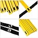 REEHUT Agility Ladder w/Free User E-Book + Carry Bag - Speed Training Equipment for High Intensity Footwork (8 Rungs 12 Rungs 20 Rungs)
