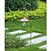 EKQ ROJOY 1Pack Upgrade Hanging Solar Lights Lantern with 1 Shepherd Hook,Metal Solar Waterproof Lantern for Pathway Garden Outdoor (1Pack) (Coppe)
