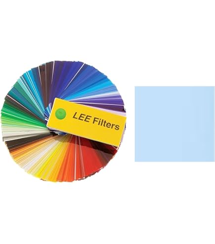 Amazon.com: Lee Filters Full CTS Gel Filter, 48