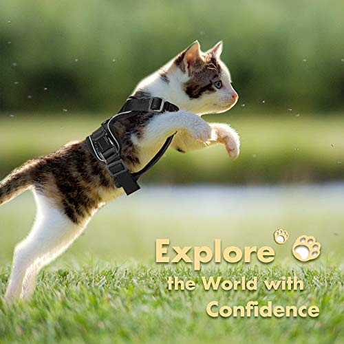 Eagloo Cat Harness Escape Proof Small Cat and Dog Harness Soft Mesh