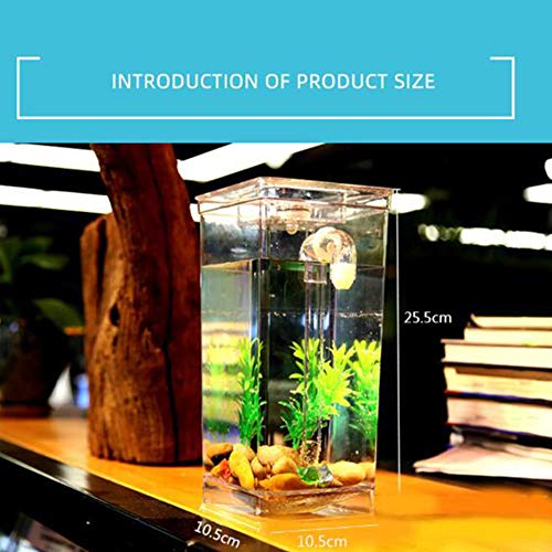 Mini Goldfish Tank Size