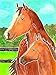 Ravensburger Aquarelle Horses Arts and Crafts Kit