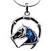 Embolden Jewelry Silver-Tone, Blue, Green Abalone Paua Shell Lucky Horseshoe Horse Head Pendant Necklace Great Gift for Girls