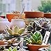 Plant Labels, ZOUTOG 1000 Pcs Plastic Plant Tags 4 Inch Garden Makers with Pen