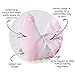 Gerber Baby Girls' 8-Pair Wiggle Proof Sock, Pastel Ballet, 0-6 Months