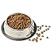 Pet Food Bowl Stainless Steel Non Skid Pet Paws Doodler Dish Is Perfect for a Small Dog Cat Kitten Puppy (2 bowls per order)