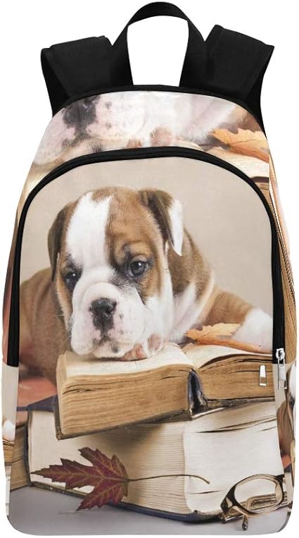 purebred english bulldog