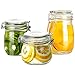 Folinstall 3-Pieces (17oz, 24oz and 34oz) Wide Mouth Mason Jars - Glass Jars with Hinged Lids - Canning Jars Perfect for Storing Coffee, Sugar, Flour. Extra one Replacement Silicone Gasket Included