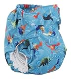 Smart Bottoms Dream Diaper 2.0 (Ross)