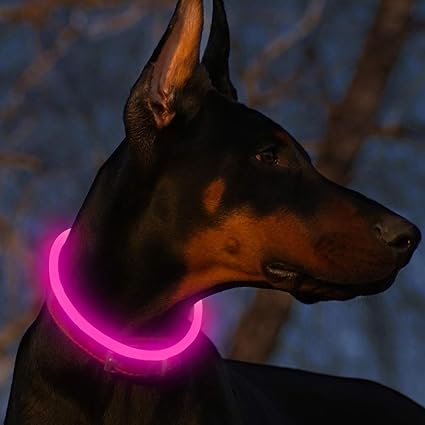Fttouuy Blinkender LED Hundehalsband, LED Leuchthalsband USB wiederaufladbar Längenverstellbar- Haustier Sicherheit Kragen fü