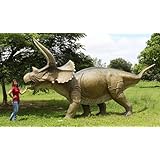 全長６．２ｍ！トリケラトプス　超巨大フィギュアＣ（恐竜等身大フィギュア）