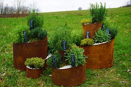 Novaliv – Espiral de Hierbas, óxido Natural, Caracol para Plantas ...