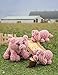 Crochet a Farm: 19 Cute-as-Can-Be Barnyard Creations