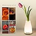 Morpilot Bluetooth Smart Cordless Vase lamp LED Night Light,Indoor/Outdoor Light-Portable Moving Table Lamp for Kids Room,Hallway(Round Shape)