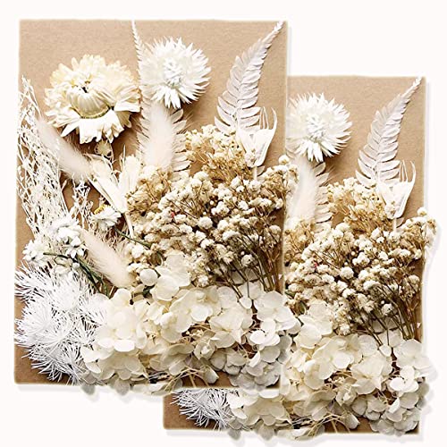Perfektchoice Dried Pressed Flowers – Natural Petals & Leaves For Resin, Crafts, DIY