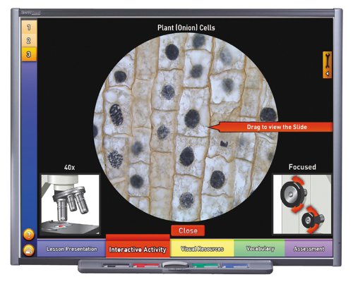 NewPath Learning Cell Growth and Division Mitosis Multimedia Lesson, Single User License, Grade 6-10 - Thumbnail 2