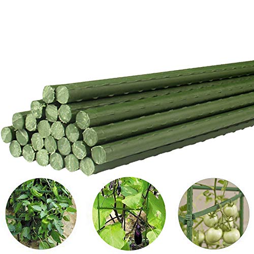 Growsun 3-Ft Garden Stakes Metal Plastic Coated Plant Cage Supports Climbing for Tomatoes,Trees,Cucumber,Fences,Beans,25 Pack - Thumbnail 4