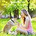 iThrough Shock Collar for Dogs, Dog Training Collar Remote, Rechargeable Small Dog Bark Collar with 1-5 Level Beep, Vibration Control and Shock LCD Display for Dogs, Electronic No Barking Collar