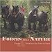 Forces de la nature : Chevaux & débardeurs des forêts de France by 