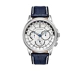 Citizen Men's Eco-Drive Calendrier Watch