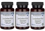 Lactobacillus Gasseri 3 Billon Cfu+ 180 Veg Drcaps - 3 Pack 60 Veg Drcaps Each