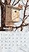 Lang 2017 Birdhouses Wall Calendar, 13.375 x 24 inches (17991001850)