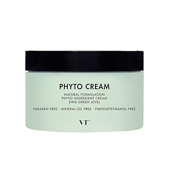 Amazon Com Vt Cosmetics Vt Phyto Cream 380ml Natural