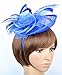 Womens Feather Mesh Fascinator Hat with Headband Royal Blue