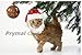 Prymal Comfort Santa Dog Cat Costume