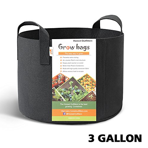 1 HONEST+OUTFITTERS+Container+Aeration+Handles