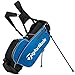 TaylorMade Golf 2017 TM Stand Golf Bag 5.0