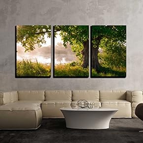 Oak Tree in Full Leaf in Summer Standing...