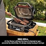 Ninja Woodfire Outdoor Grill Smoker Air Fryer 7 Functions Red/Black view 12