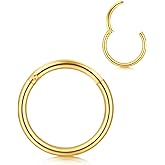 AVYRING 16g 18g 20g 316L Hypoallergenic Nose Rings Surgical Steel Silver Gold Nose Hoops Septum Ring Hinged Clickers Seamless Helix Cartilage Conch Earrings Hoop for Women Men 6mm 7mm 8mm