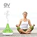 Earth Vibes Aromatherapy Essential Oil Diffuser 300ml - Premium Ultrasonic Aroma Humidifier Bacteria Cleaner - Auto Shut-Off & 7 Color LED Lights - BPA Free - Office Home Bedroom Living Room Study