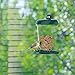 Bird Feeder Window Station for Outdoor Wild Birds with Suction Cup and Seed Tray, Use Outside on Balcony, Deck, Garden, or Window by Pure Garden