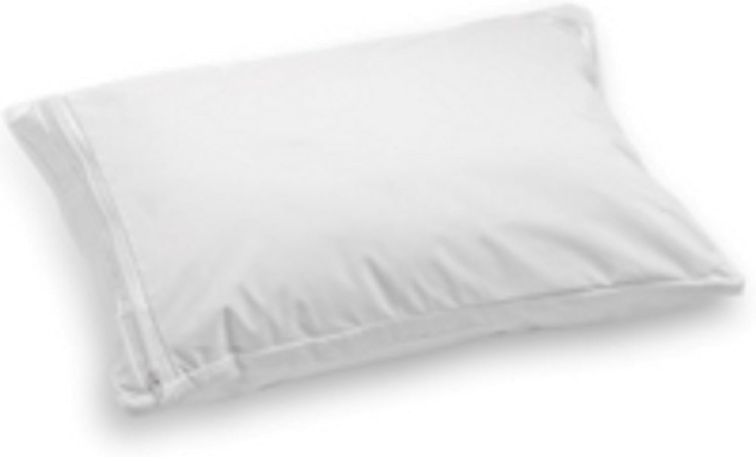 SecureTravel Pillow with Protector