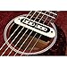 DeArmond Tone Boss Soundhole Pickup (009-9208-049)