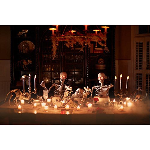 Home Accents HolidayGanmm 5 ft. Poseable Skeleton with LED Illumination