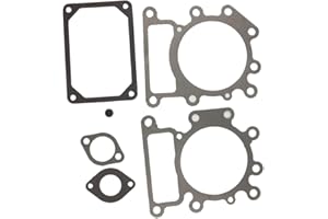 BH-Motor New Valve Gasket Set for 794152 Replaces # 690190 794114 796584 699168 692410
